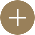 Enlarge Icon