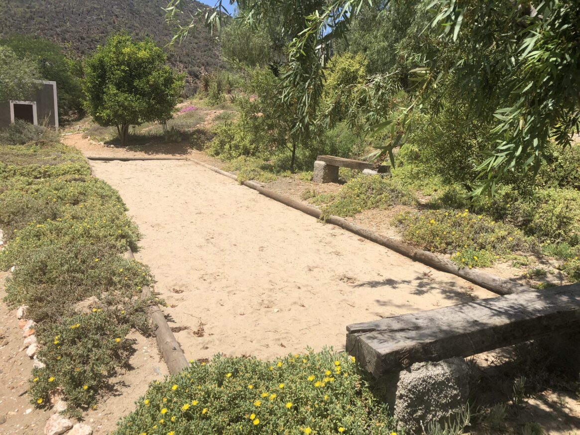 Boule Petanque court