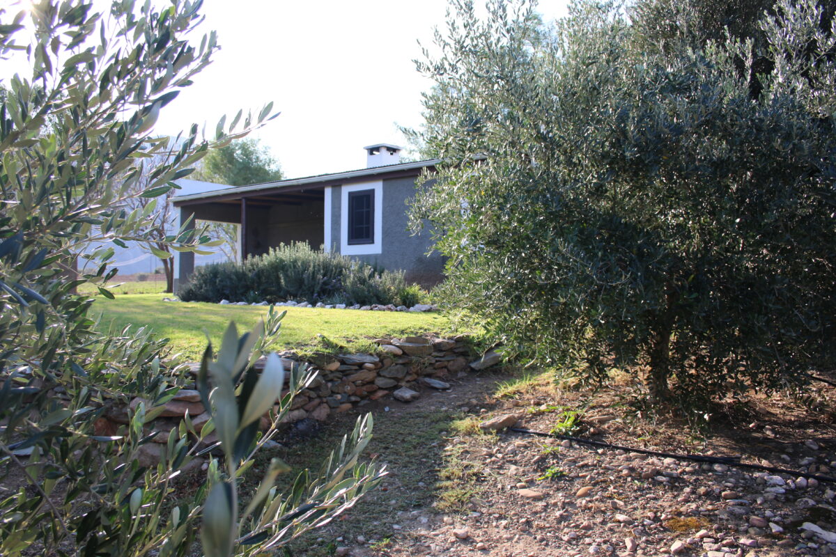 Middelplaas back (1)