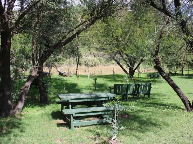middelplaas-013