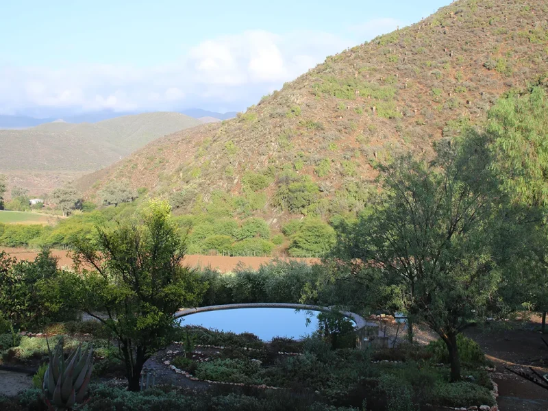 0001-mattjiesvlei-20260408