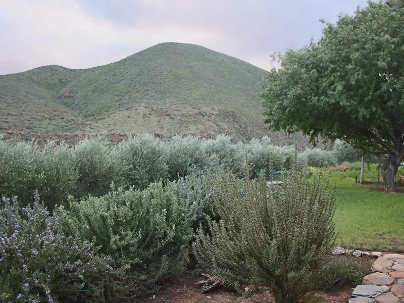 0032-mattjiesvlei-20260408