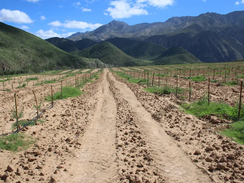 0045-mattjiesvlei-20260408
